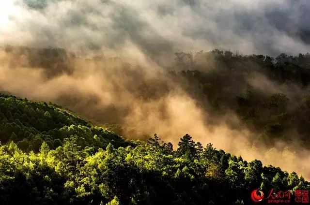 微信图片_20170726164051