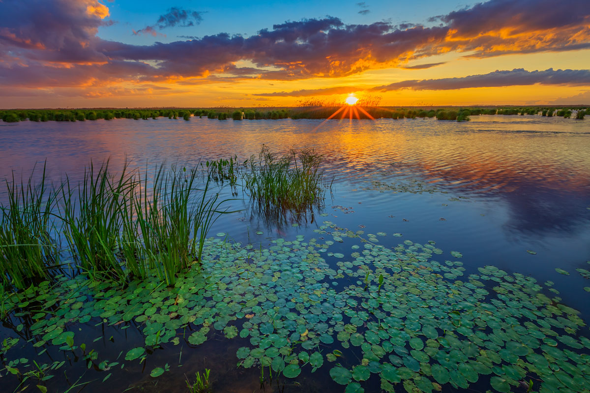 074220g5iex2t5tc5fx551