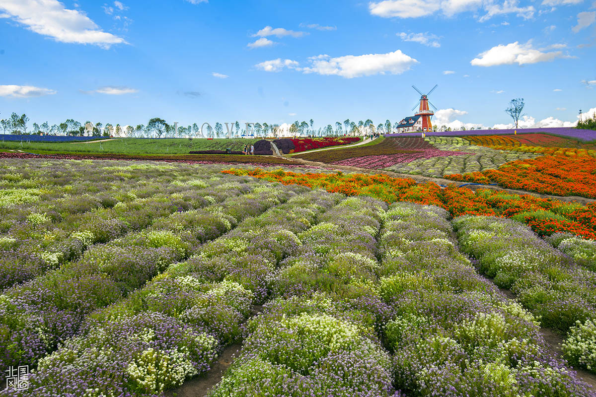 215007hsztwnozptn301pm