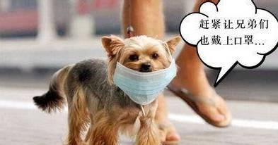 俯瞰全球10个知名城市，看到西安我惊呆了！