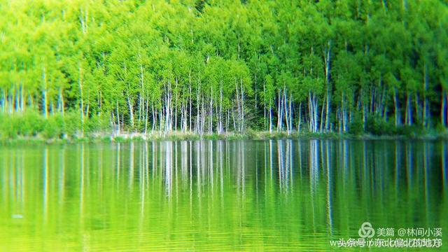 伊春五营-丽丰湖
