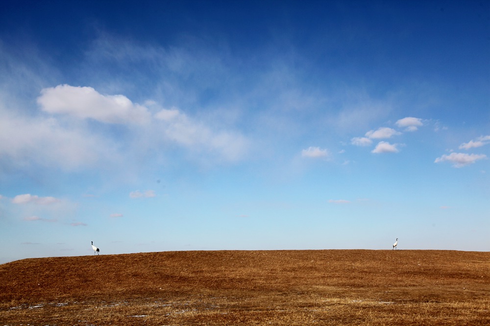 193632pnwtjvwxp5xtjmab