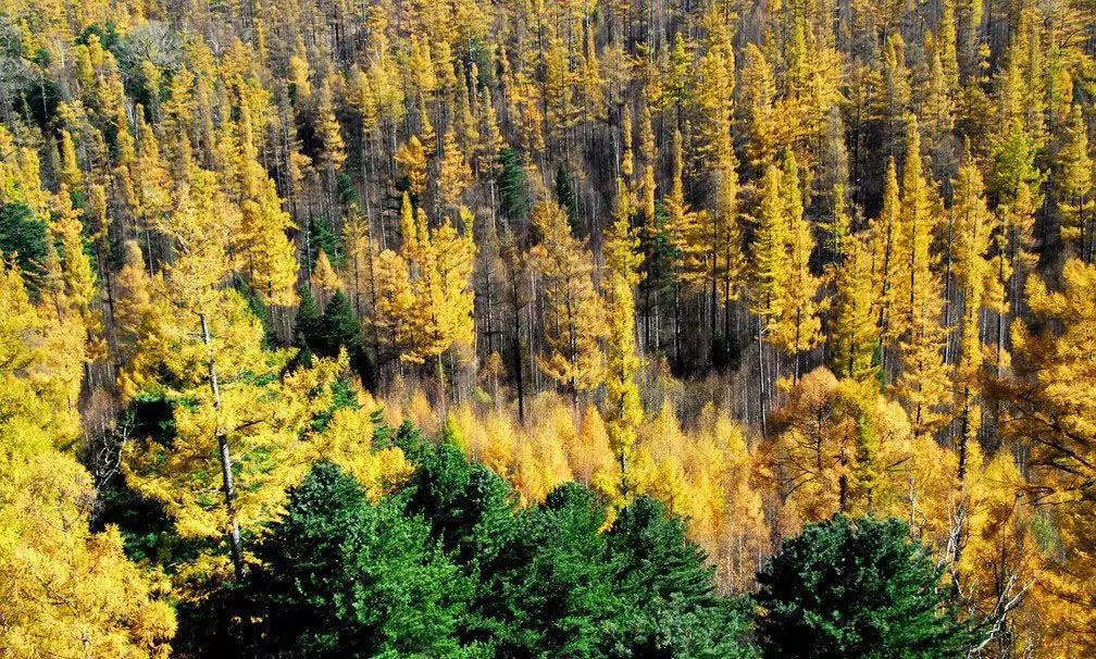 微信图片_20170630155311