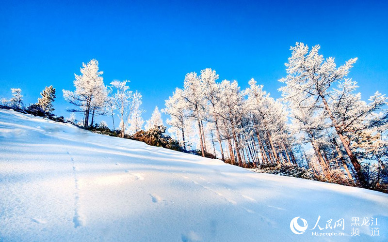 伊勒呼里山 鄂伦春人敬仰的神奇山林【11】