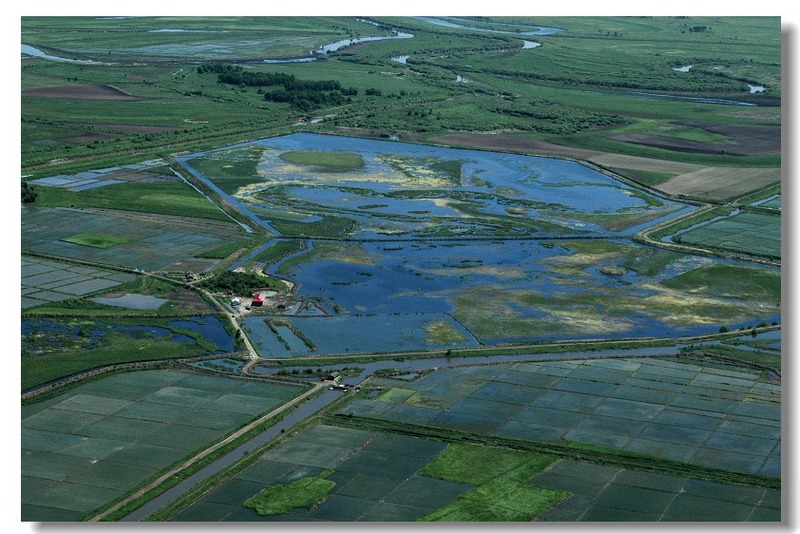 userid102240time20070723135907