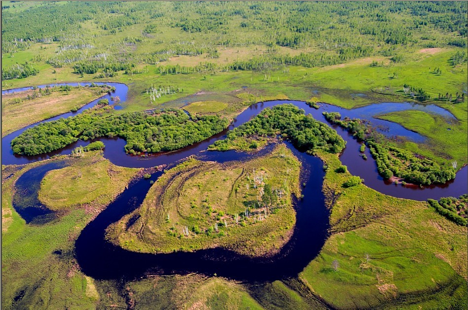 144028lp3lll58lxl55fw5_jpg_thumb