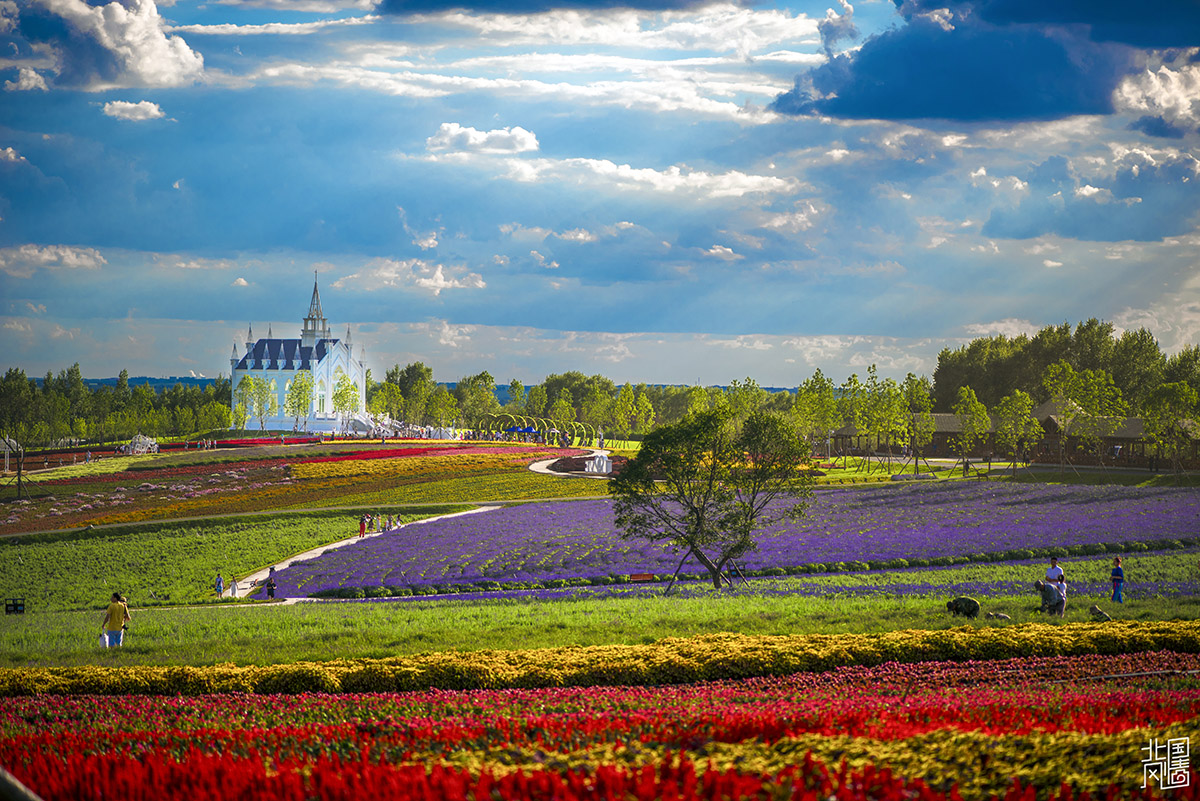 215248fz3wxwwt3xa8ha6r