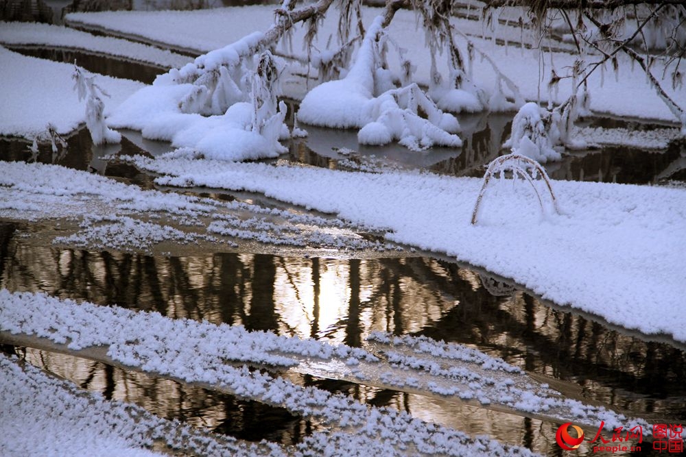 151849c68w94ts4oxxnuwr