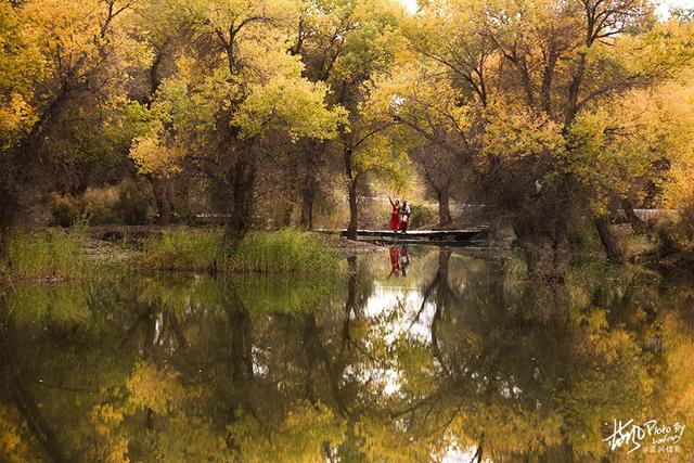 喀什巴楚——去探寻刀郎歌中那喀什葛尔的胡杨