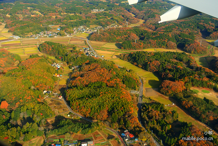 6451773620161112134345092_640