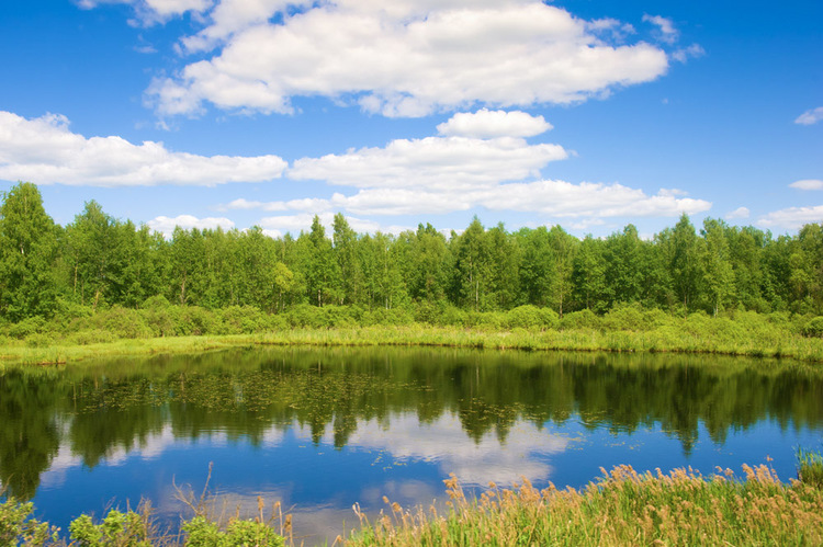 5361593020160815171533015_640