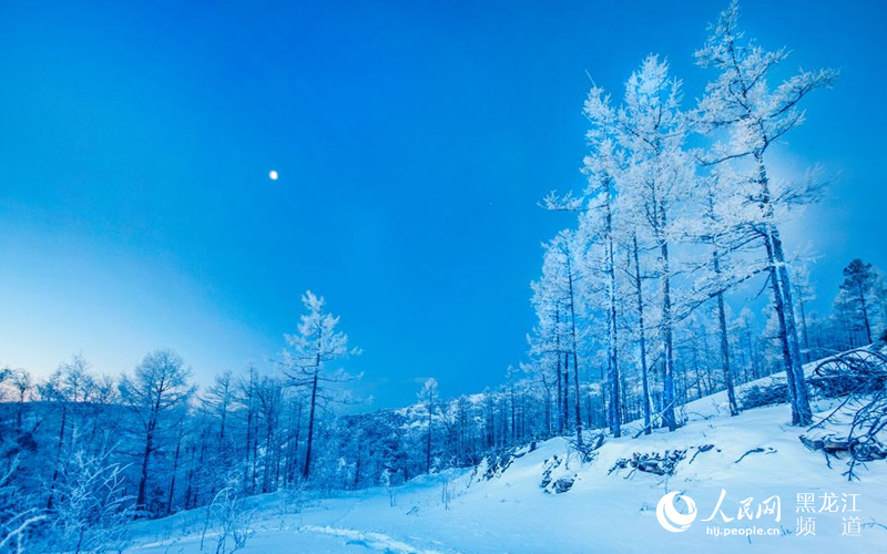 伊勒呼里山 鄂伦春人敬仰的神奇山林【10】