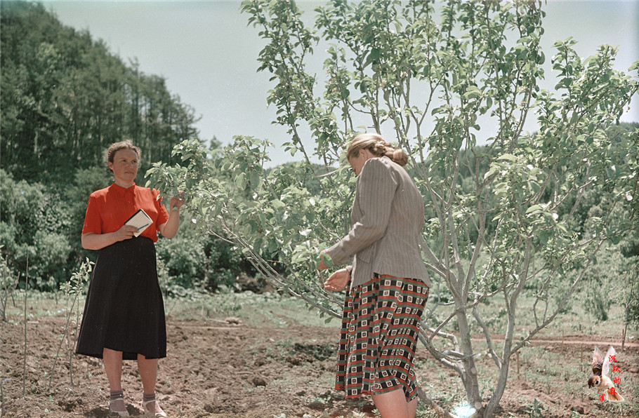图集：1950年代苏联远东萨哈林 - 沉默的麻雀 - 沉默的麻雀的博客
