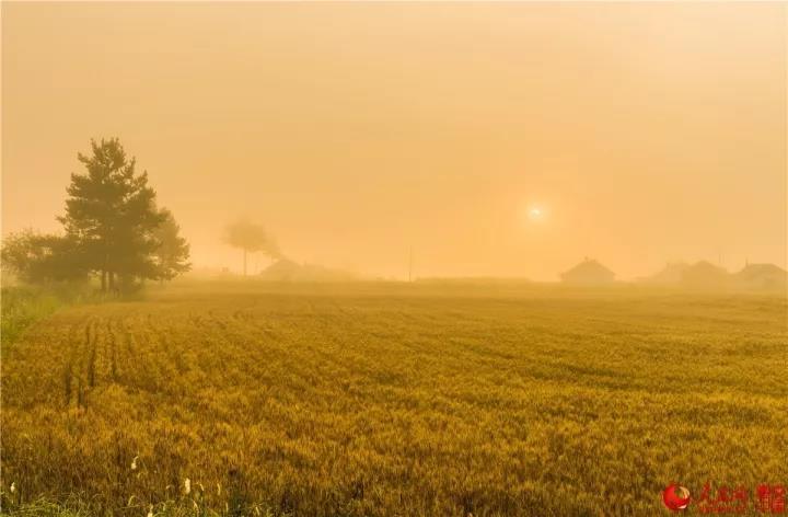 微信图片_20170925162932