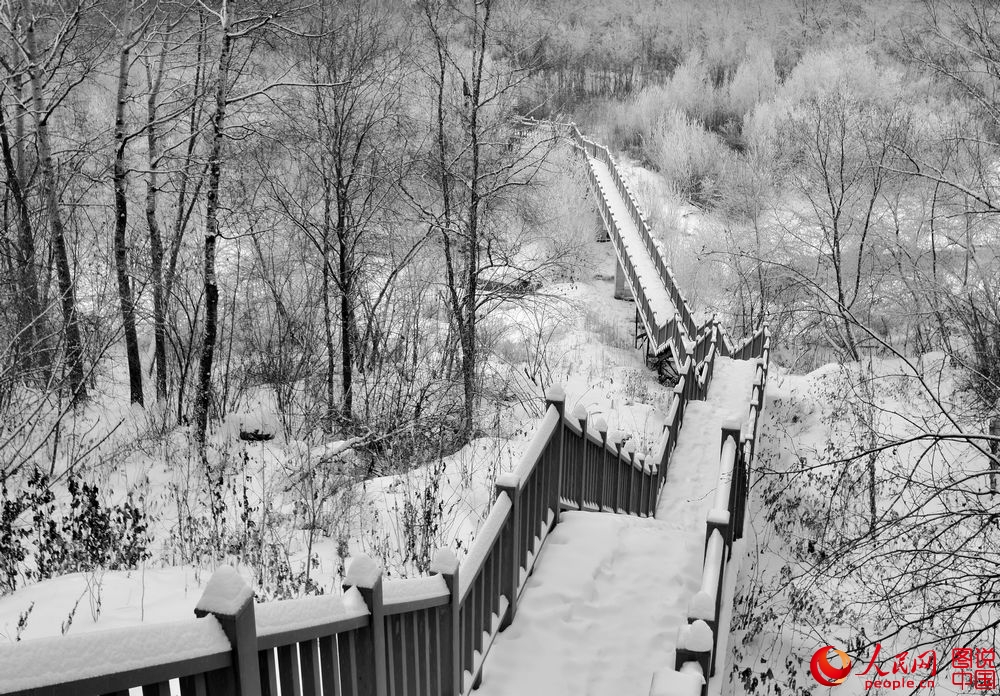 185147m0kprud24zdsnfzn