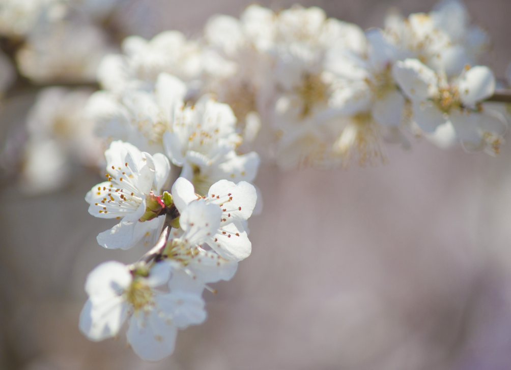 QQ截图20170406130611