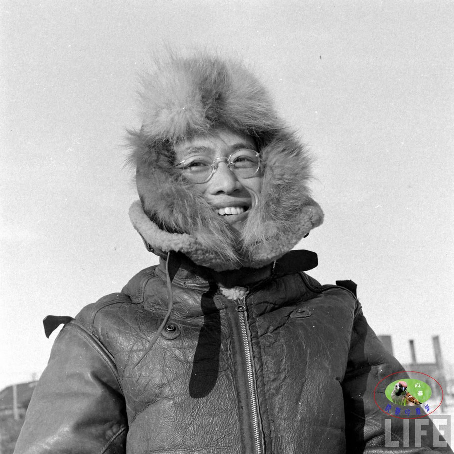 48年辽沈大战前的沈阳奉天的景象【三】 - 沉默的麻雀 - 沉默的麻雀的博客