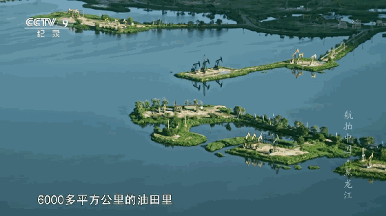 jrs电脑直播_极速体育无插件直播_jrs直播极速体育黑龙江｜吃不完的连环湖鱼 看不厌的扎龙飞鸟