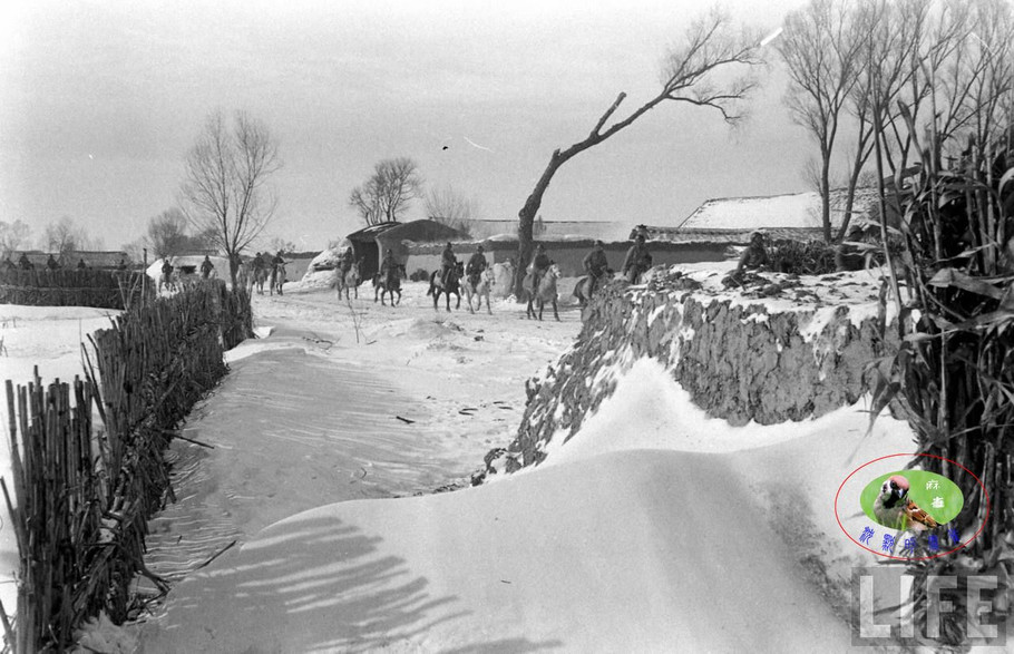 48年辽沈大战前的沈阳奉天的国军【六】 - 沉默的麻雀 - 沉默的麻雀的博客