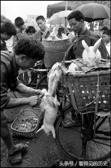 老照片：外国摄影师镜头下的1984年成都青石桥农贸市场