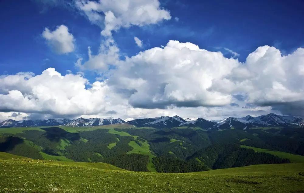 微信图片_20170630155302