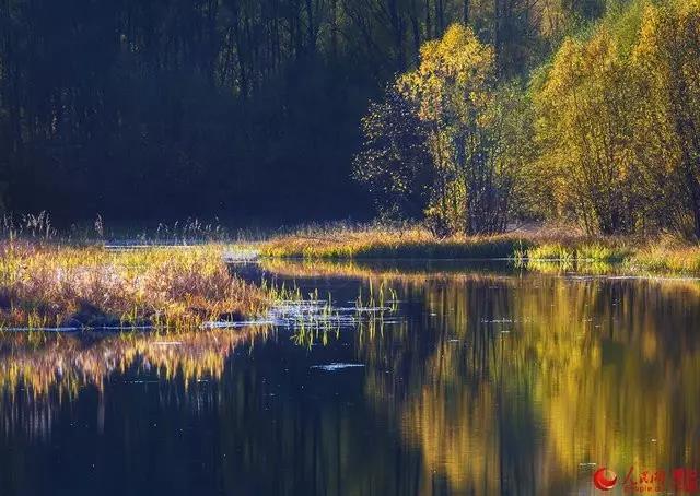 微信图片_20170919164234