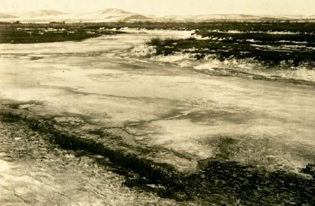 360截图20170315090500523