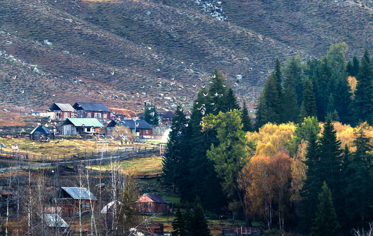 642055442016103017594005_640