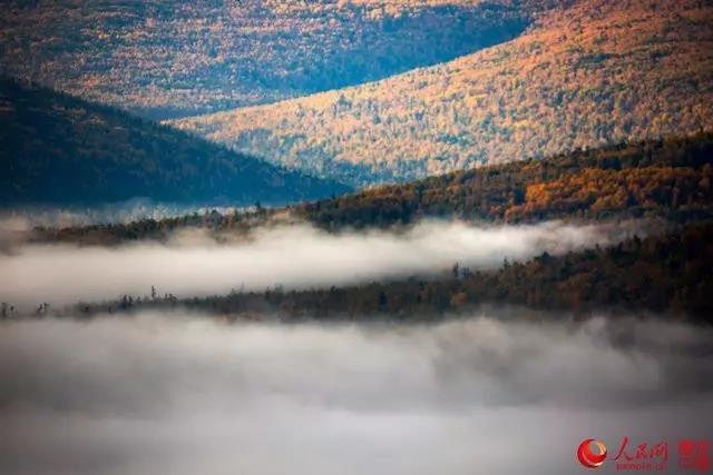 微信图片_20170921171456