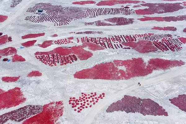 jrs电脑直播_极速体育无插件直播_jrs直播极速体育分享  |  令人震撼的jrs电脑直播_极速体育无插件直播_jrs直播极速体育摄影！