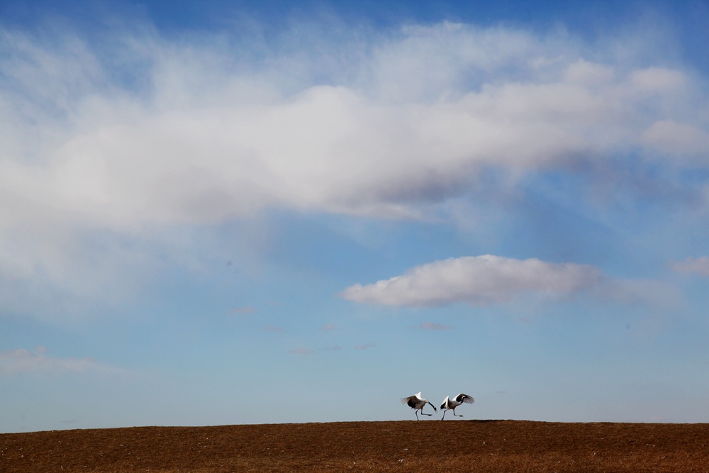 193310jzc8qytojjpc0j5z