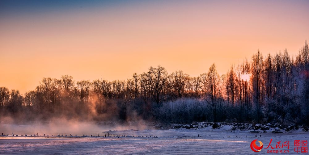 151256vpdduqug8vap14nn