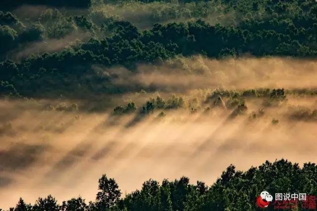 微信图片_20170630155058