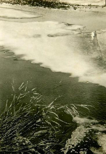 360截图20170315090514402