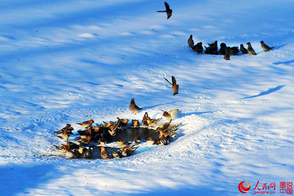 161916o73nnhvst0tiy0ls