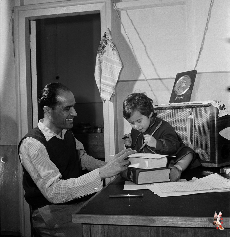 20世纪50年代的塔什干及周边景观 - 沉默的麻雀 - 沉默的麻雀的博客