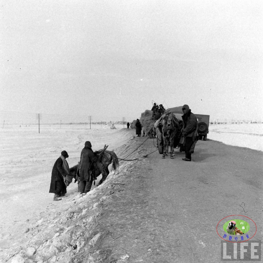 48年辽沈大战前的沈阳奉天的景象【二】 - 沉默的麻雀 - 沉默的麻雀的博客