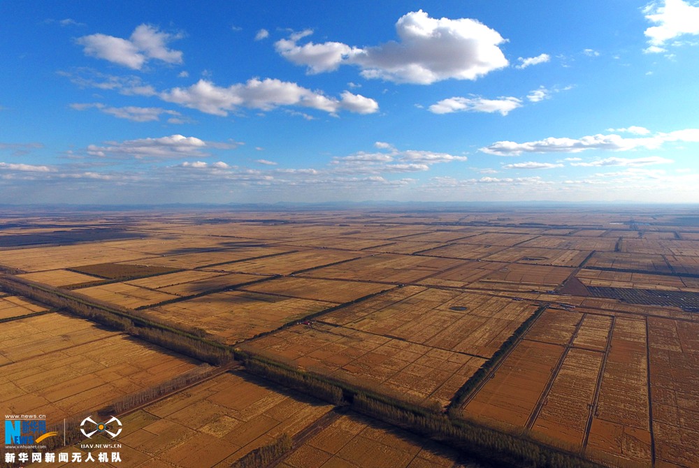 wKhTlVf8Q1aEDKxeAAAAAMwIjkk475