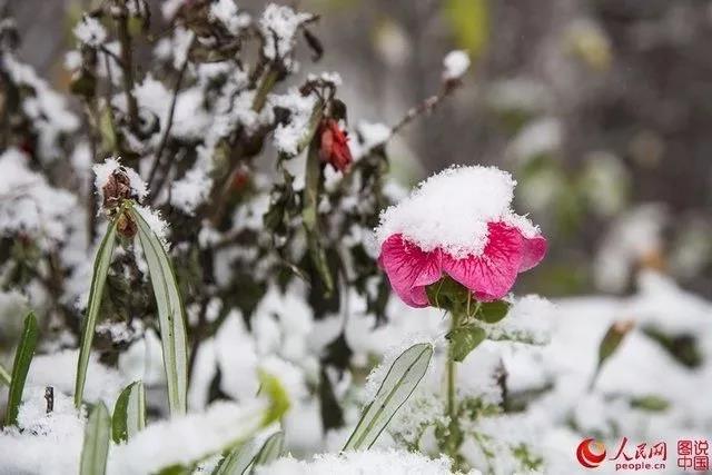 微信图片_20170928170515