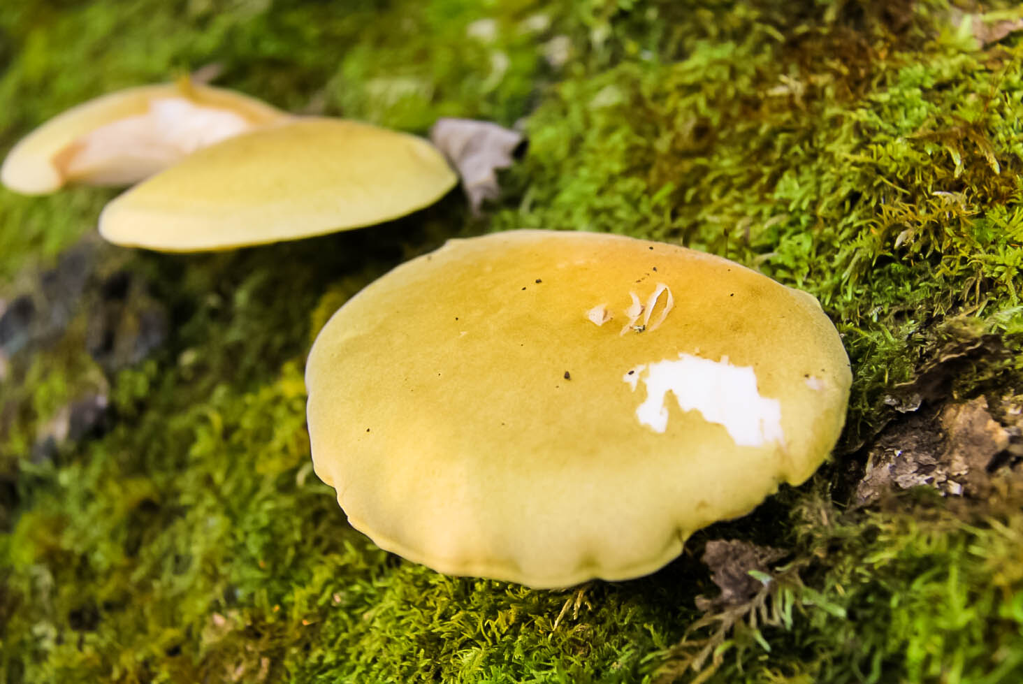 QQ截图20150513133448