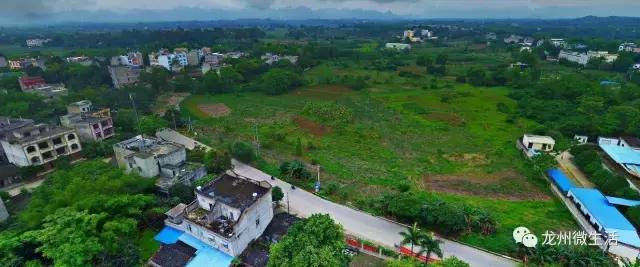 一组龙州的jrs电脑直播_极速体育无插件直播_jrs直播极速体育图片，美呆了