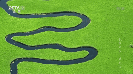 jrs电脑直播_极速体育无插件直播_jrs直播极速体育黑龙江｜吃不完的连环湖鱼 看不厌的扎龙飞鸟