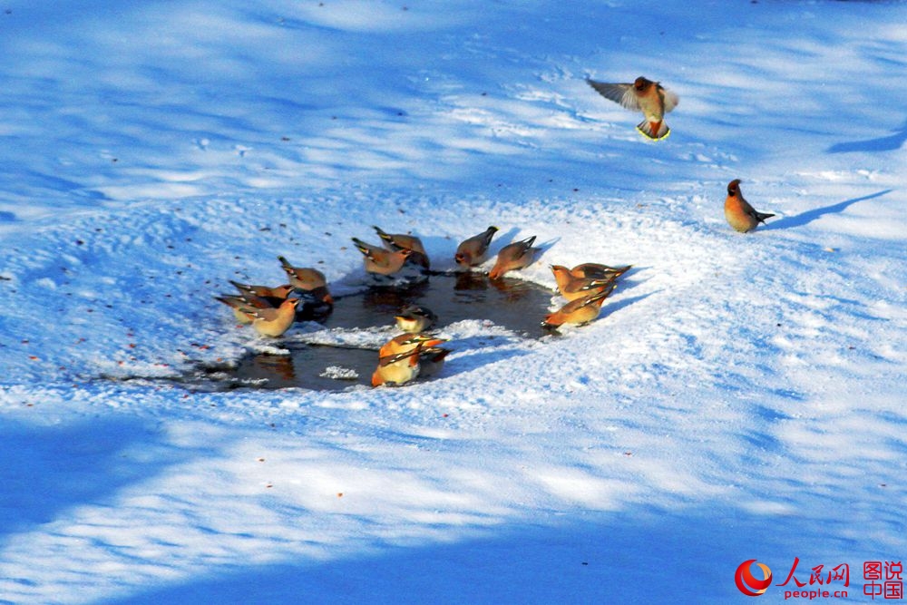 161918mmt3zzzzd392g91y