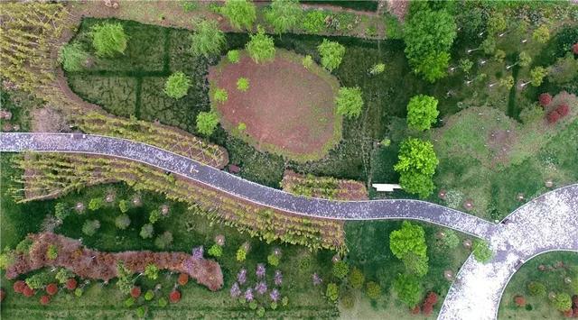 jrs电脑直播_极速体育无插件直播_jrs直播极速体育济源