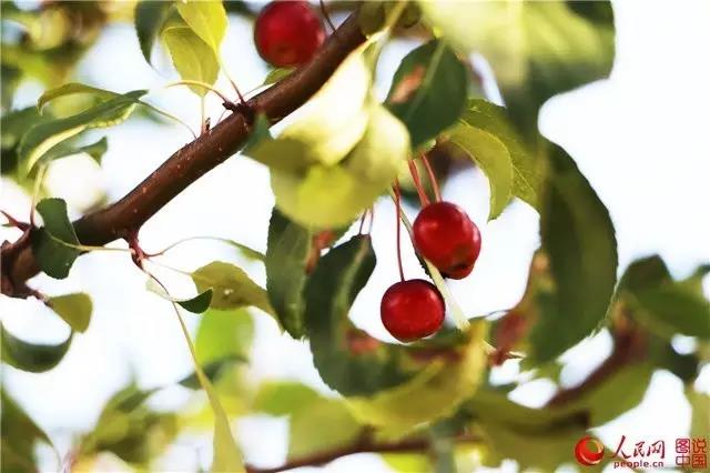 微信图片_20170921171053