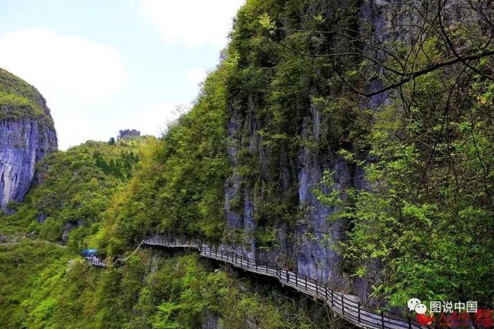 微信图片_20171121161741