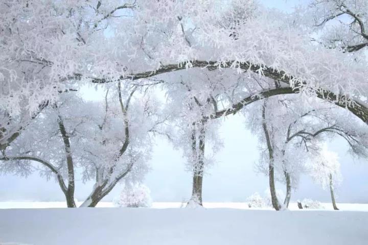 微信图片_20171215164101