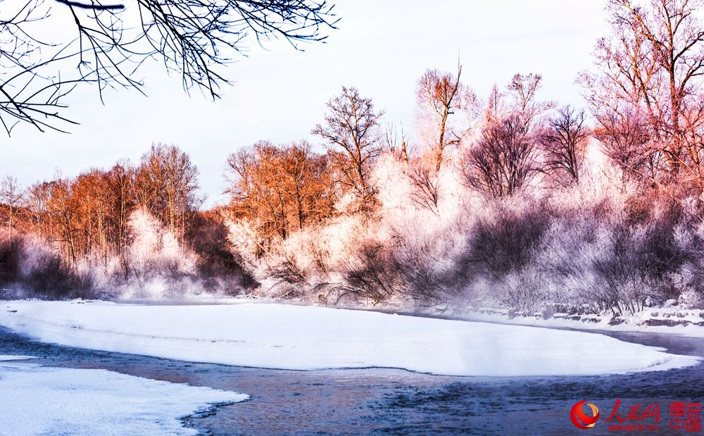 151235qlrirzorrjwcikbw