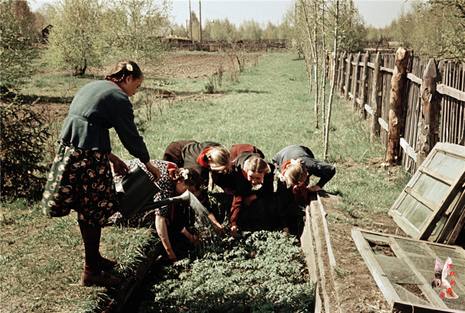 1950年代苏联小学生的室外农学课 - 沉默的麻雀 - 沉默的麻雀的博客