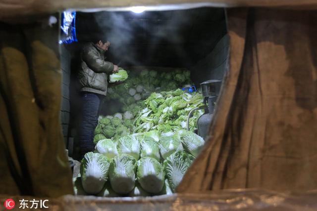 哈尔滨-33℃的早市 菜贩搭起暖棚卖菜、带着手套收钱